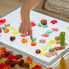 Translucent Colour Leaves and Seeds PK 120, Learning SPACE