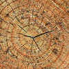 Tree Stumps - Teacher Set (4 Pack, multipack), Learning SPACE
