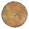 Tree Stumps - Teacher Set (4 Pack, multipack), Learning SPACE