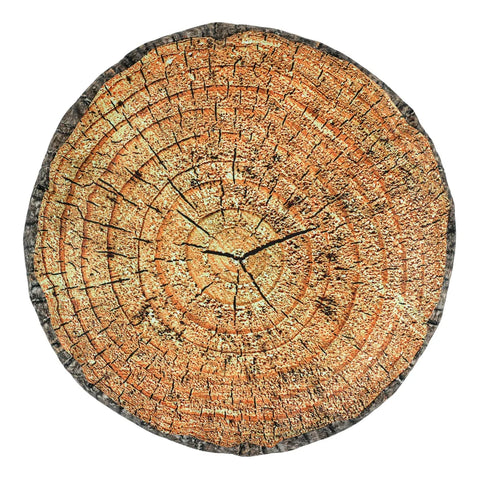 Tree Stumps - Teacher Set (4 Pack, multipack), Learning SPACE