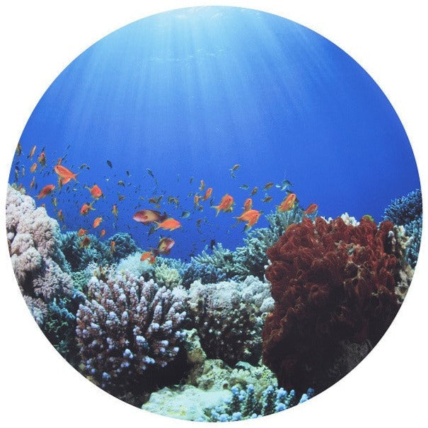 Under The Sea Discovery Play Mat, Learning SPACE