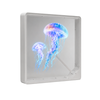 Lumina 3D Hologram with Speaker - 42cm Square