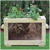 Watch Me Grow Planter, Learning SPACE