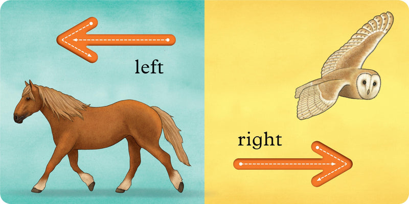 We're Going on a Bear Hunt: My First Opposites Board Book, Learning SPACE
