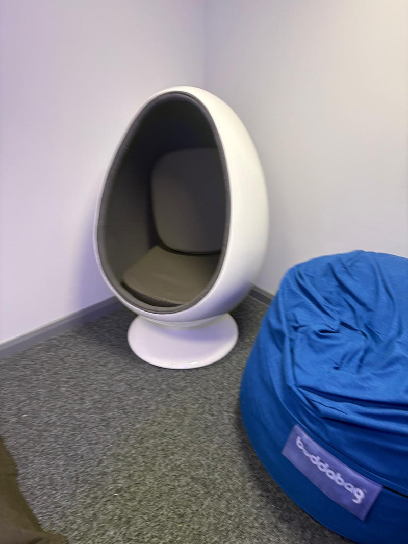 Retro Egg Pod Chair, Learning SPACE