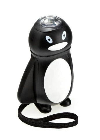 Wind Up Dynamo Torch (No batteries), Learning SPACE