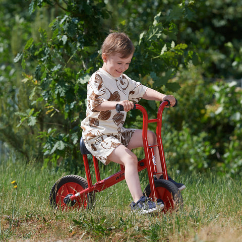 Winther Viking Large Bicycle, Learning SPACE