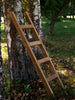 Wooden Play Ladder, Learning SPACE