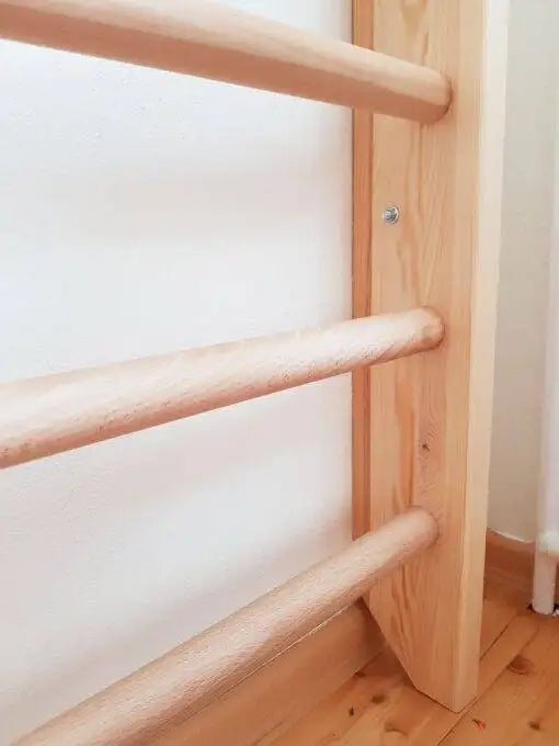 Wooden Wall Bars with Accessories - Gross Motor Aid, Learning SPACE