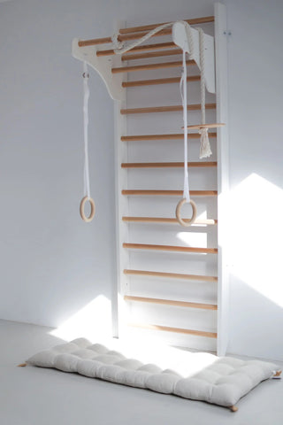 Wooden Wall Bars with Accessories - Gross Motor Aid-Exercise,Gross Motor and Balance Skills,Indoor Swings,Sensory Climbing Equipment-Learning SPACE