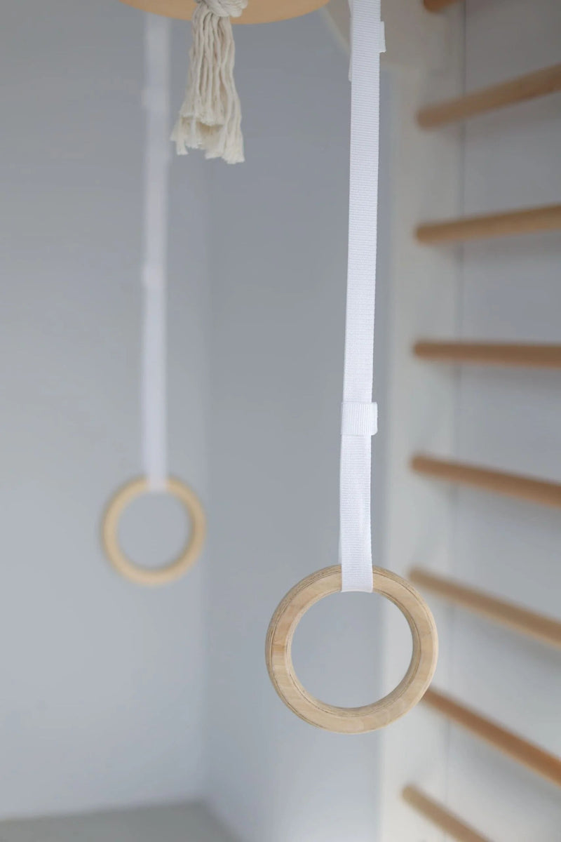 Wooden Wall Bars with Accessories - Gross Motor Aid, Learning SPACE
