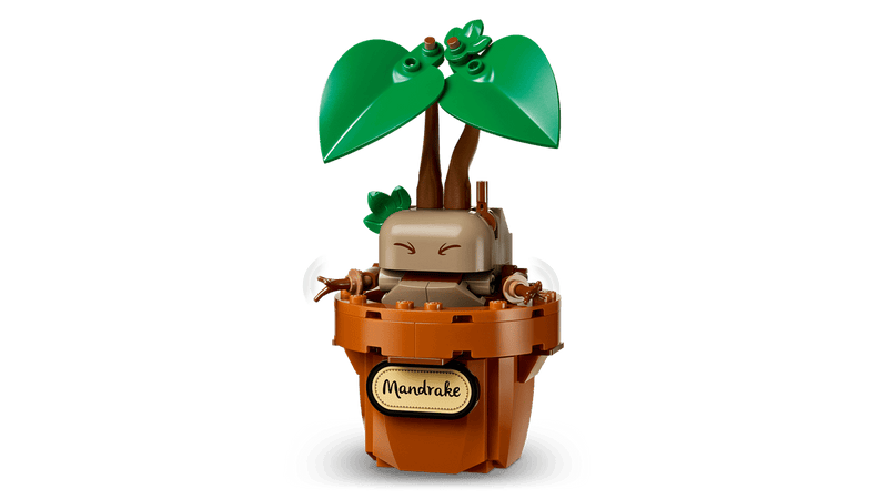 LEGO® (76474) Harry Potter™ Hogwarts™ Herbology Plants Set