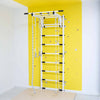 Wall Bars Trick Gymnastics Ladder
