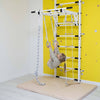 Wall Bars Trick Gymnastics Ladder