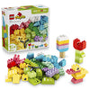 LEGO® DUPLO® Classic (10479) Colourful Creative Box