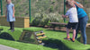 Occupational Therapy Playground Blocks