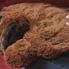 Plush Puppy 2.2kg Weighted Lap Pad