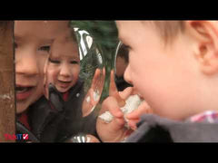 Large Dome Mirror Panel Set - Pk4