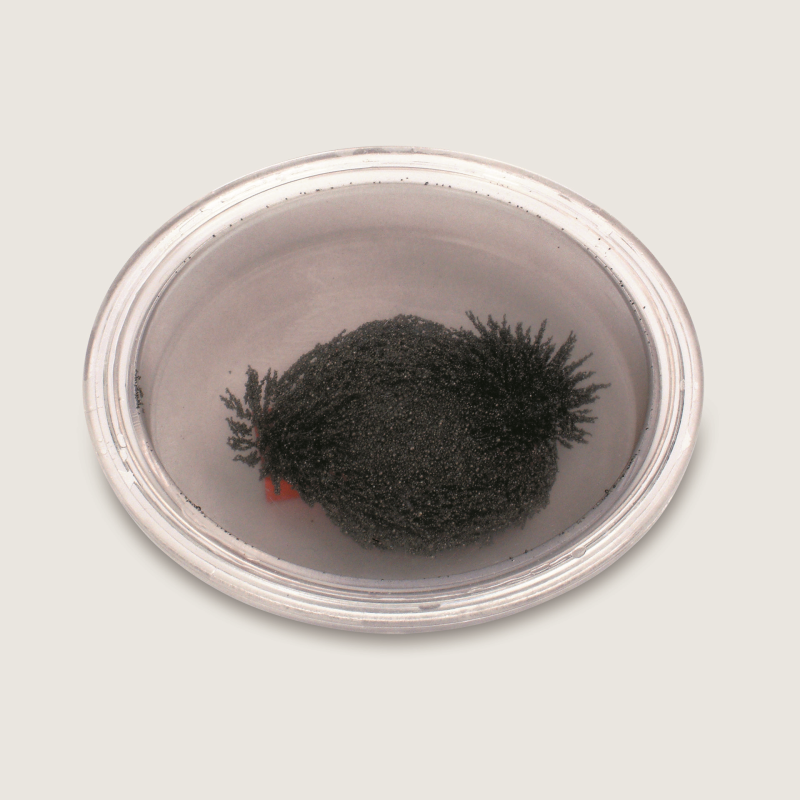 Round Iron Filings Bubble - 10 Pack