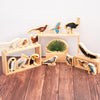 Wooden Bird Blocks Pk15, Learning SPACE