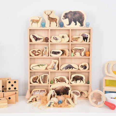 Wooden Sorting Tray - 14 Way, Learning SPACE
