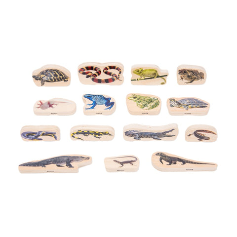 Wooden Reptile & Amphibian Blocks, Learning SPACE