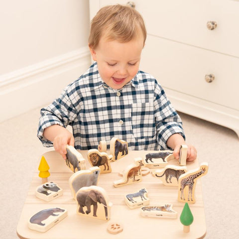 Wooden Wild Animal Blocks - Pk15, Learning SPACE