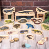 Wooden Reptile & Amphibian Blocks, Learning SPACE