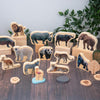 Wooden Wild Animal Blocks - Pk15, Learning SPACE