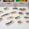 Wooden Reptile & Amphibian Blocks, Learning SPACE