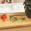 Magnifier Set - Pk10, Learning SPACE