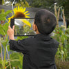 Large Sheet Magnifier, Learning SPACE