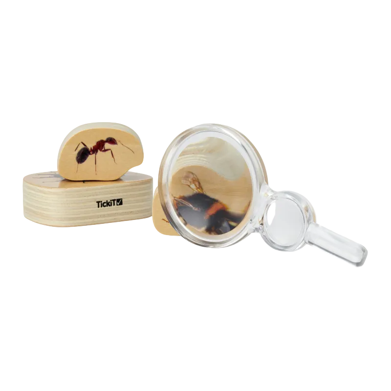 Class Pack Of Magnifiers & Hand Lenses - Pk35