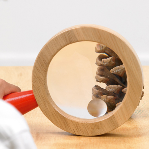 Wooden Hand Magnifier Lens