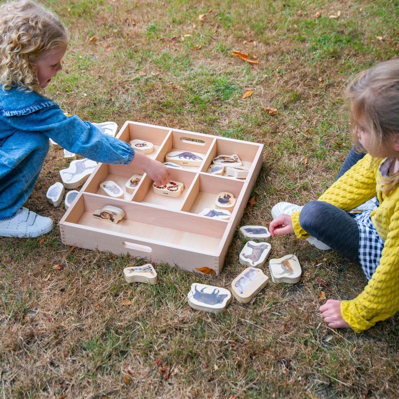 Wooden Sorting Tray - 7 Way, Learning SPACE