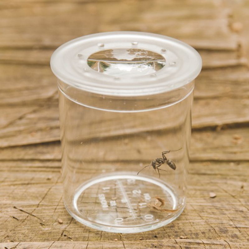 Class Pack Of Magnifiers & Hand Lenses - Pk35